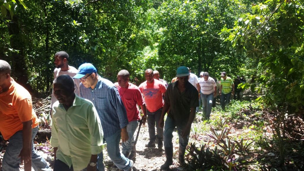 c1dc8bd5-7bf7-4646-846a-dd50bf392148