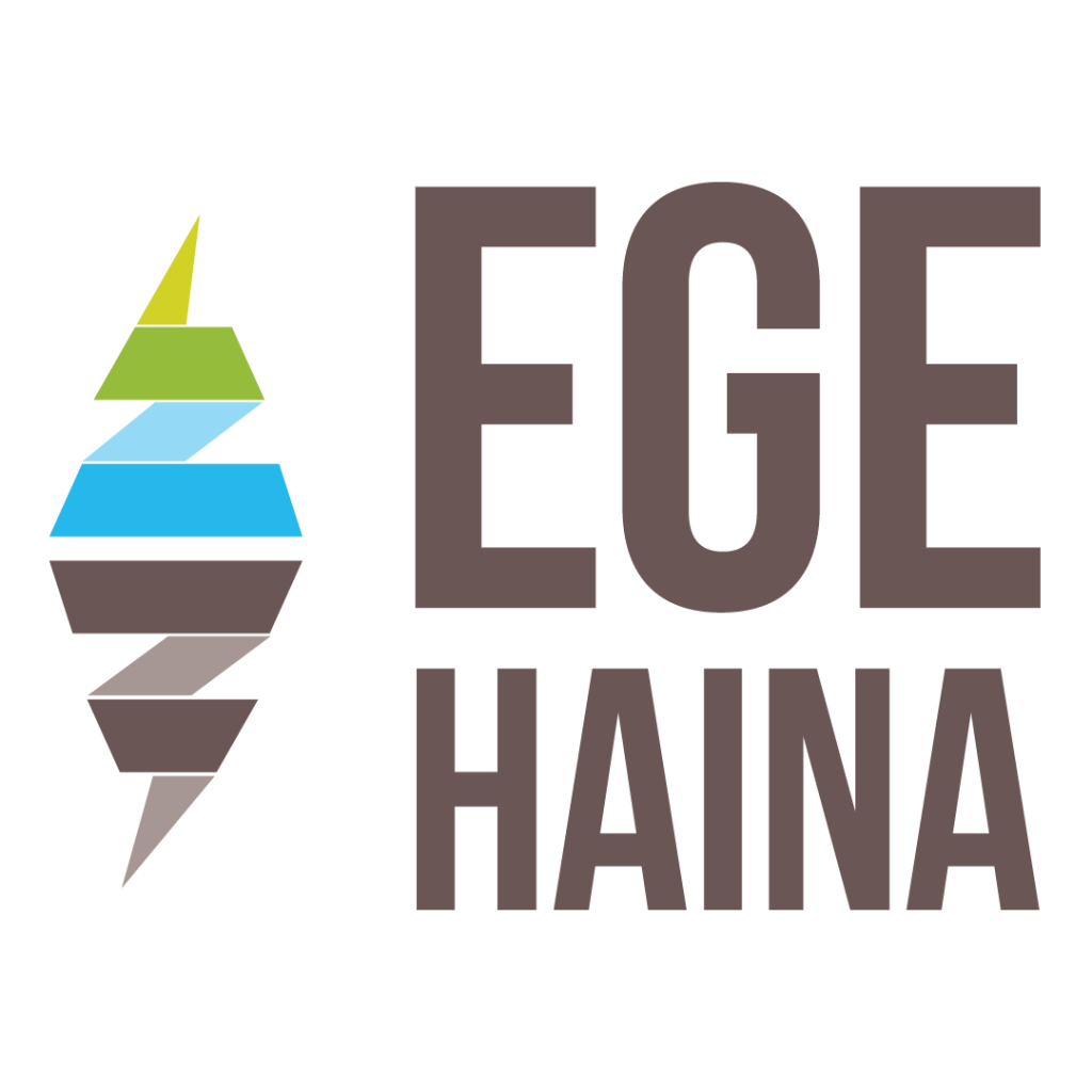 Logo_Actual_de_EGE_Haina.png