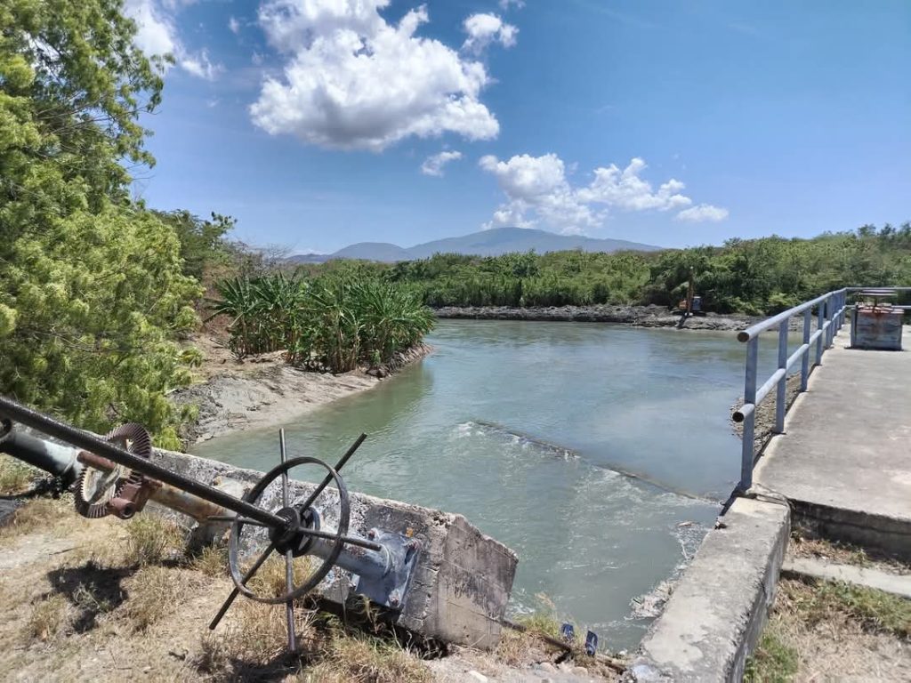 FB_IMG_1742941654897