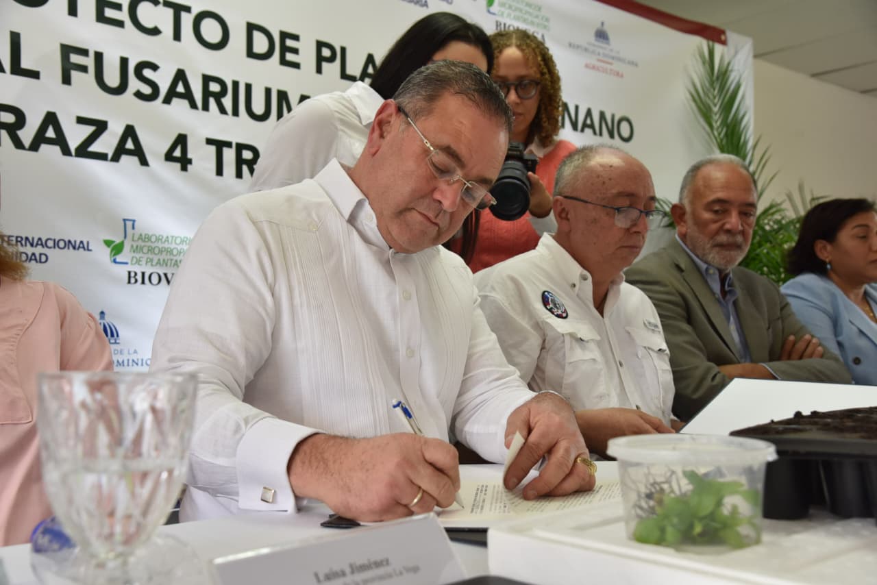 República Dominicana se adelanta al Fusarium R4T: Agricultura y OIRSA lanzan proyecto pionero de banano tolerante